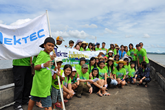 Planting Mangrove Trees 